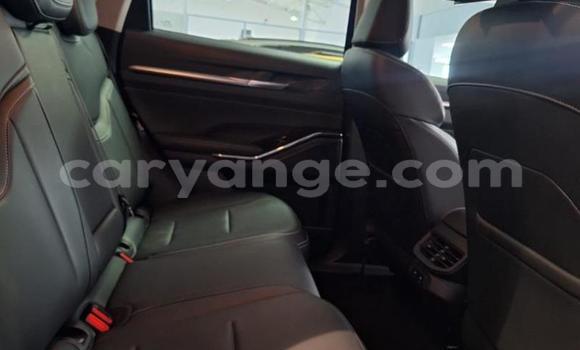 Acheter Occasion Voiture Haval H6 Bleu à Gobabis, Omaheke Acheter Occasion Voiture Haval H6 Bleu à Gobabis, Omaheke