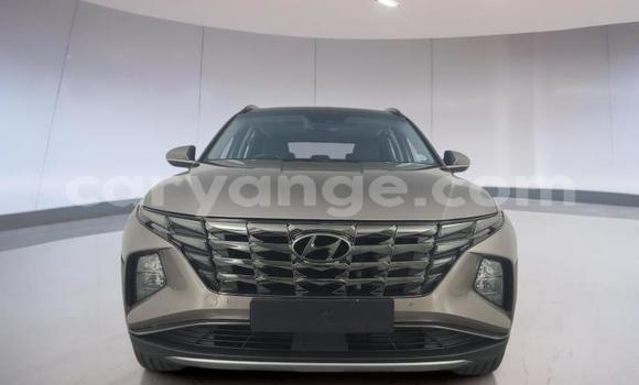Buy Used Hyundai Tucson Other Car in Gobabis in Omaheke