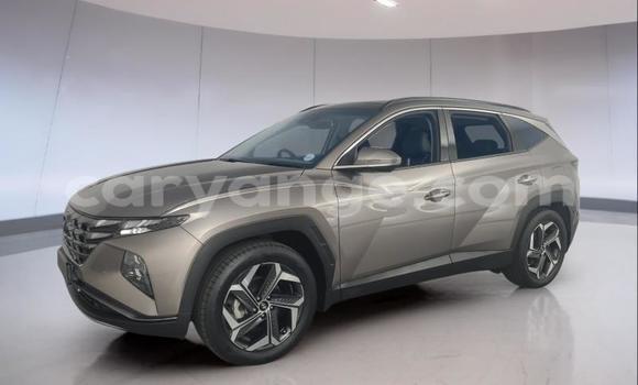 Acheter Occasion Voiture Hyundai Tucson Autre à Gobabis, Omaheke Acheter Occasion Voiture Hyundai Tucson Autre à Gobabis, Omaheke