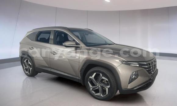 Acheter Occasion Voiture Hyundai Tucson Autre à Gobabis, Omaheke Acheter Occasion Voiture Hyundai Tucson Autre à Gobabis, Omaheke
