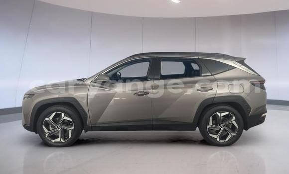 Acheter Occasion Voiture Hyundai Tucson Autre à Gobabis, Omaheke Acheter Occasion Voiture Hyundai Tucson Autre à Gobabis, Omaheke