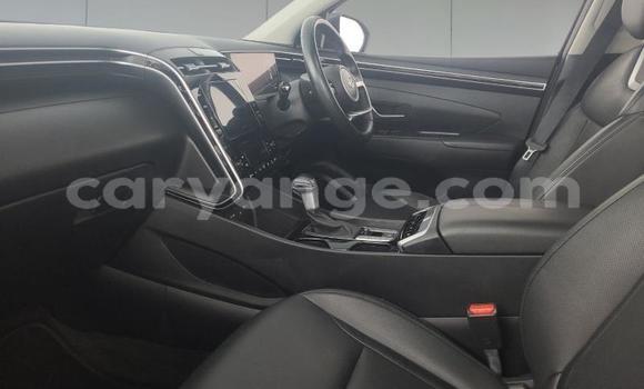 Acheter Occasion Voiture Hyundai Tucson Autre à Gobabis, Omaheke Acheter Occasion Voiture Hyundai Tucson Autre à Gobabis, Omaheke