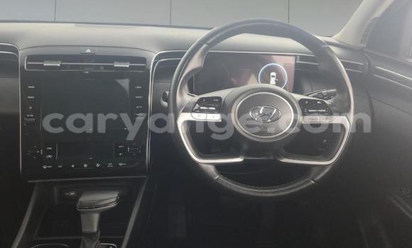 Acheter Occasion Voiture Hyundai Tucson Autre à Gobabis, Omaheke Acheter Occasion Voiture Hyundai Tucson Autre à Gobabis, Omaheke