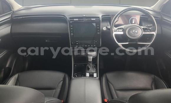 Acheter Occasion Voiture Hyundai Tucson Autre à Gobabis, Omaheke Acheter Occasion Voiture Hyundai Tucson Autre à Gobabis, Omaheke