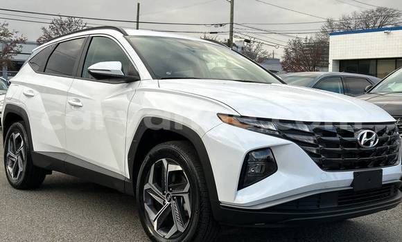 Buy Used Hyundai Tucson White Car in Windhoek in Namibia