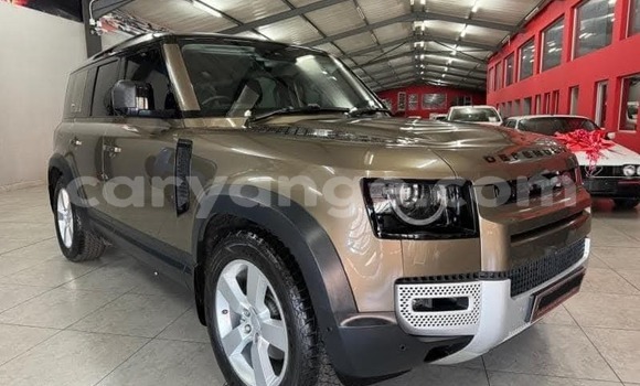 Acheter Occasion Voiture Land Rover Defender Marron à Windhoek, Namibie Acheter Occasion Voiture Land Rover Defender Marron à Windhoek, Namibie