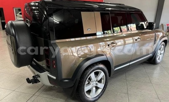 Acheter Occasion Voiture Land Rover Defender Marron à Windhoek, Namibie Acheter Occasion Voiture Land Rover Defender Marron à Windhoek, Namibie