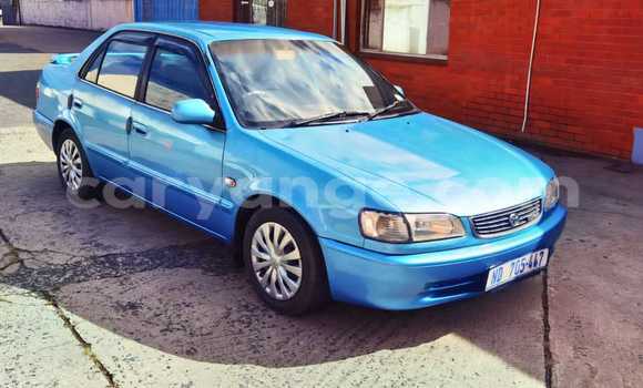 Buy Used Toyota Corolla Blue Car in Henties Bay in Erongo