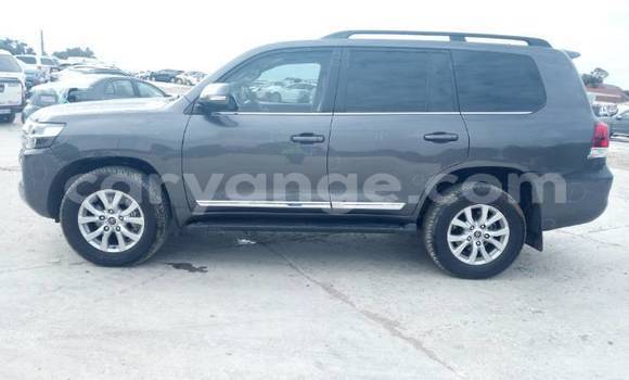 Buy Used Toyota Land Cruiser Other Car in Windhoek in Namibia
