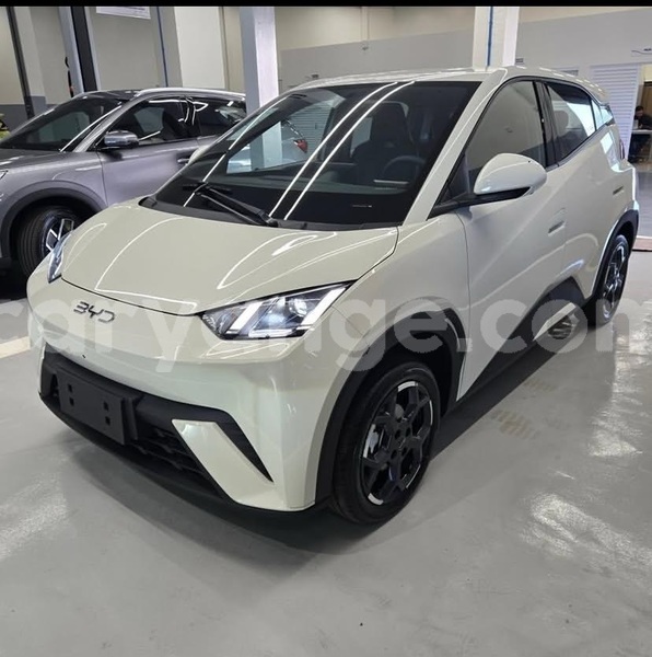 Big with watermark byd seagull namibia windhoek 25345