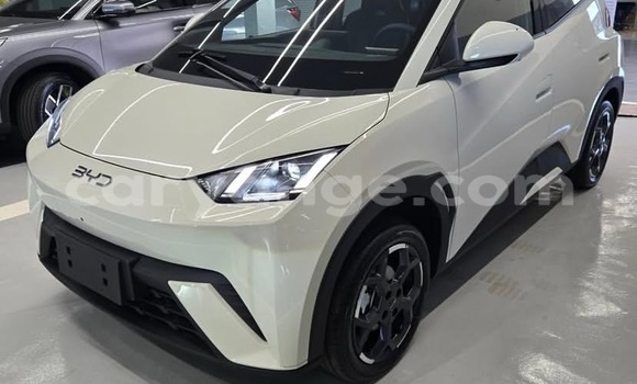 Buy Used BYD Seagull White Car in Windhoek in Namibia