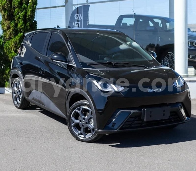 Big with watermark byd seagull namibia windhoek 25345