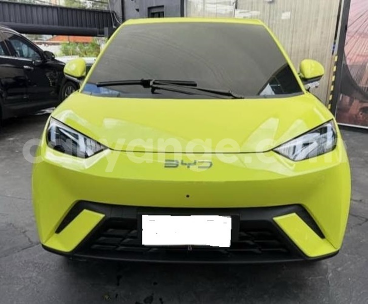 Big with watermark byd seagull namibia windhoek 25345