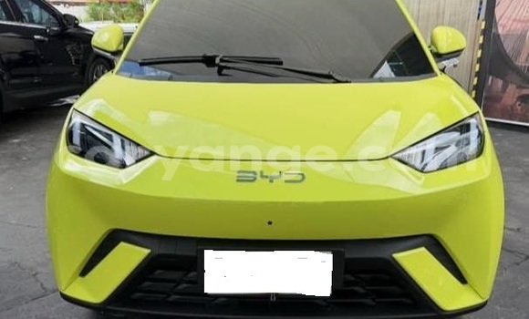 Acheter Occasion Voiture BYD Seagull Blanc à Windhoek, Namibie Acheter Occasion Voiture BYD Seagull Blanc à Windhoek, Namibie