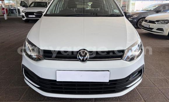 Buy Used Volkswagen Polo White Car in Gobabis in Omaheke