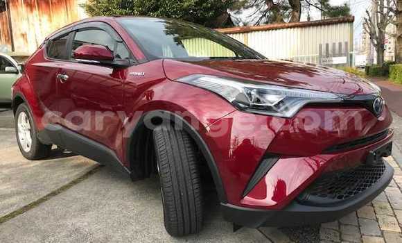 Buy Used Toyota C-HR Red Car in Otavi in Oshikoto Buy Used Toyota C-HR Red Car in Otavi in Oshikoto