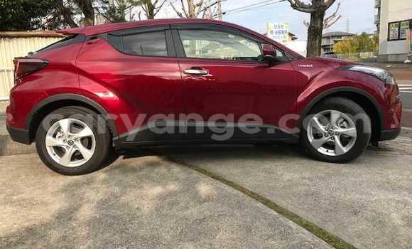 Buy Used Toyota C-HR Red Car in Otavi in Oshikoto Buy Used Toyota C-HR Red Car in Otavi in Oshikoto