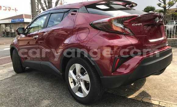 Buy Used Toyota C-HR Red Car in Otavi in Oshikoto Buy Used Toyota C-HR Red Car in Otavi in Oshikoto