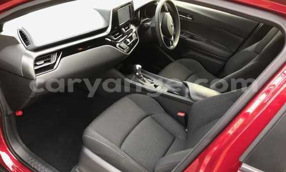 Buy Used Toyota C-HR Red Car in Otavi in Oshikoto Buy Used Toyota C-HR Red Car in Otavi in Oshikoto