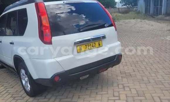 Buy Used Toyota RAV4 Other Car in Windhoek in Namibia