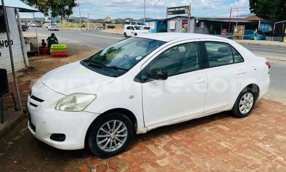 Buy Used Toyota Belta Other Car in Windhoek in Namibia