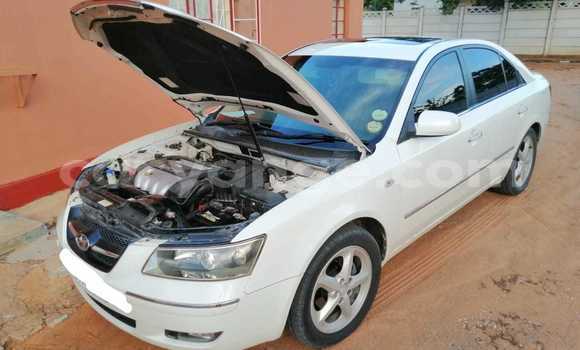 Acheter Occasion Voiture Hyundai Sonata Blanc à Tsumeb, Oshikoto Acheter Occasion Voiture Hyundai Sonata Blanc à Tsumeb, Oshikoto
