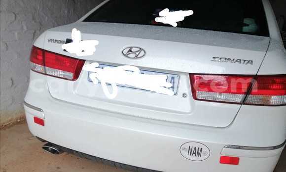 Acheter Occasion Voiture Hyundai Sonata Blanc à Tsumeb, Oshikoto Acheter Occasion Voiture Hyundai Sonata Blanc à Tsumeb, Oshikoto