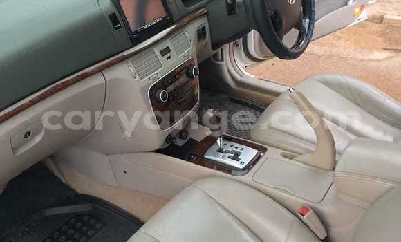 Acheter Occasion Voiture Hyundai Sonata Blanc à Tsumeb, Oshikoto Acheter Occasion Voiture Hyundai Sonata Blanc à Tsumeb, Oshikoto