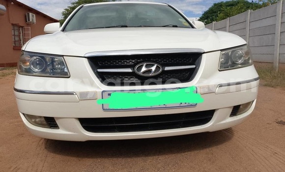 Buy Used Hyundai Sonata White Car in Tsumeb in Oshikoto