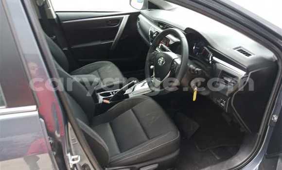 Acheter Occasion Voiture Toyota Corolla Autre à Kuisebmond, Erongo Acheter Occasion Voiture Toyota Corolla Autre à Kuisebmond, Erongo