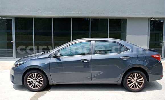 Acheter Occasion Voiture Toyota Corolla Autre à Kuisebmond, Erongo Acheter Occasion Voiture Toyota Corolla Autre à Kuisebmond, Erongo