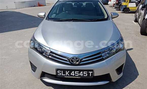 Buy Used Toyota Corolla Silver Car in Otavi in Oshikoto Buy Used Toyota Corolla Silver Car in Otavi in Oshikoto