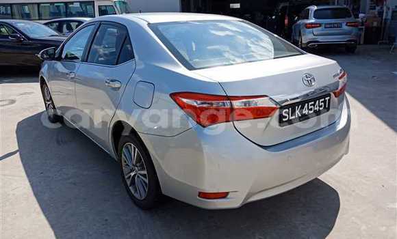 Buy Used Toyota Corolla Silver Car in Otavi in Oshikoto Buy Used Toyota Corolla Silver Car in Otavi in Oshikoto