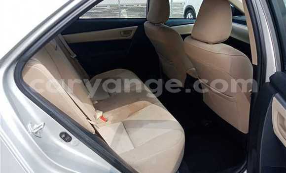 Buy Used Toyota Corolla Silver Car in Otavi in Oshikoto Buy Used Toyota Corolla Silver Car in Otavi in Oshikoto