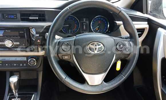 Buy Used Toyota Corolla Silver Car in Otavi in Oshikoto Buy Used Toyota Corolla Silver Car in Otavi in Oshikoto
