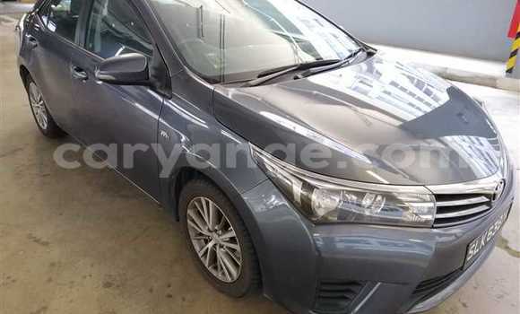 Buy Used Toyota Corolla Other Car in Leonardville in Omaheke Buy Used Toyota Corolla Other Car in Leonardville in Omaheke