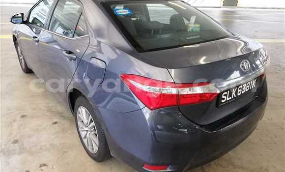 Buy Used Toyota Corolla Other Car in Leonardville in Omaheke Buy Used Toyota Corolla Other Car in Leonardville in Omaheke