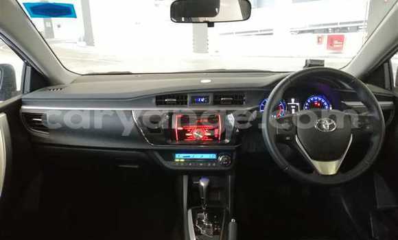 Buy Used Toyota Corolla Other Car in Leonardville in Omaheke Buy Used Toyota Corolla Other Car in Leonardville in Omaheke