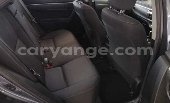 Buy Used Toyota Corolla Other Car in Leonardville in Omaheke Buy Used Toyota Corolla Other Car in Leonardville in Omaheke