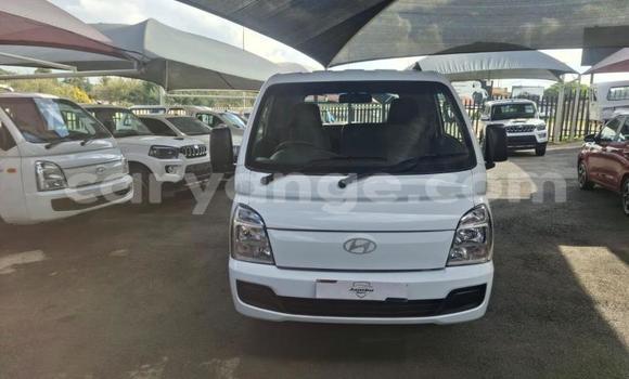 Buy Used Hyundai H200 White Car in Gobabis in Omaheke