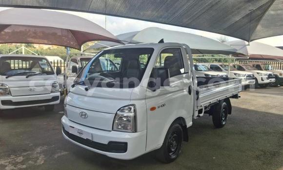 Buy Used Hyundai H200 White Car in Gobabis in Omaheke Buy Used Hyundai H200 White Car in Gobabis in Omaheke