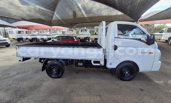 Buy Used Hyundai H200 White Car in Gobabis in Omaheke Buy Used Hyundai H200 White Car in Gobabis in Omaheke