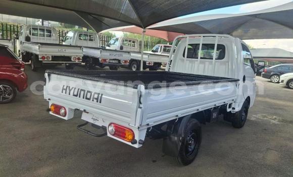 Buy Used Hyundai H200 White Car in Gobabis in Omaheke Buy Used Hyundai H200 White Car in Gobabis in Omaheke
