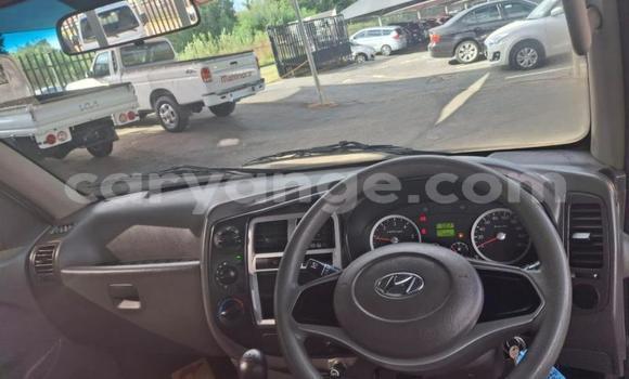 Buy Used Hyundai H200 White Car in Gobabis in Omaheke Buy Used Hyundai H200 White Car in Gobabis in Omaheke