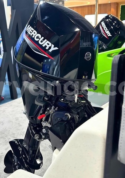 Big with watermark mercury