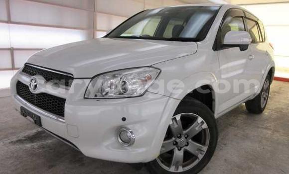 Buy Used Toyota RAV4 White Car in Omaruru in Erongo Buy Used Toyota RAV4 White Car in Omaruru in Erongo