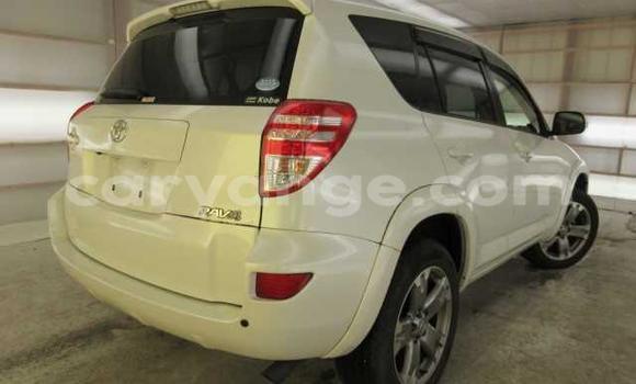 Buy Used Toyota RAV4 White Car in Omaruru in Erongo Buy Used Toyota RAV4 White Car in Omaruru in Erongo