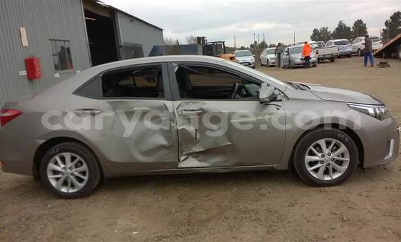 Buy Used Toyota Corolla Other Car in Swakopmund in Namibia