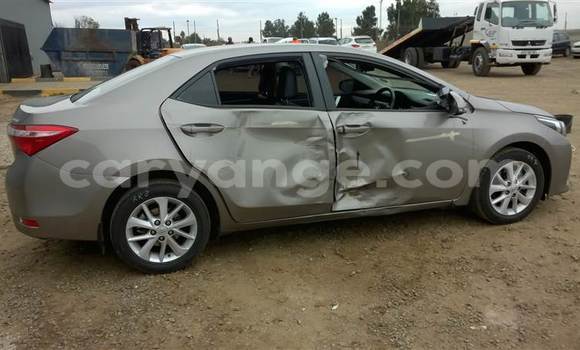 Buy Used Toyota Corolla Other Car in Swakopmund in Namibia Buy Used Toyota Corolla Other Car in Swakopmund in Namibia