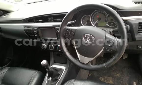 Buy Used Toyota Corolla Other Car in Swakopmund in Namibia Buy Used Toyota Corolla Other Car in Swakopmund in Namibia